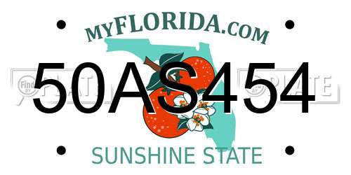 50AS454 Florida License Plate