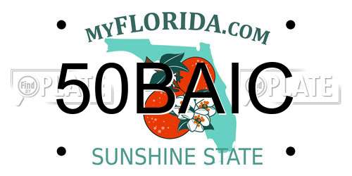 50BAIC Florida License Plate