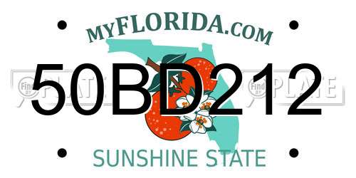 50BD212 Florida License Plate