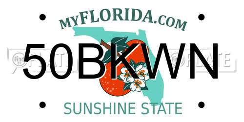 50BKWN Florida License Plate