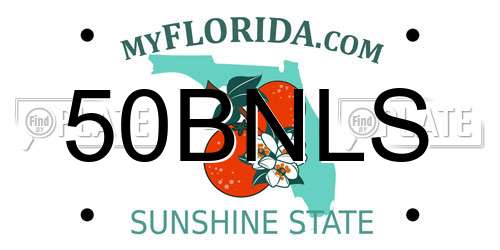 50BNLS Florida License Plate