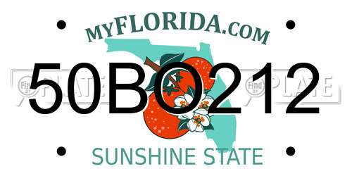 50BO212 Florida License Plate