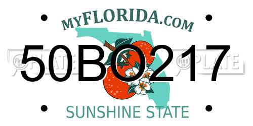 50BO217 Florida License Plate