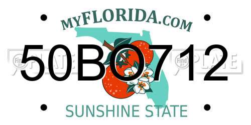 50BO712 Florida License Plate