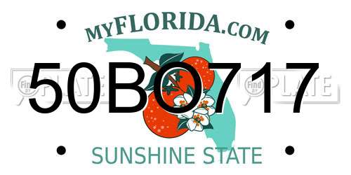 50BO717 Florida License Plate