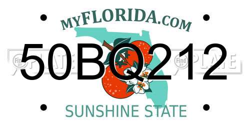 50BQ212 Florida License Plate