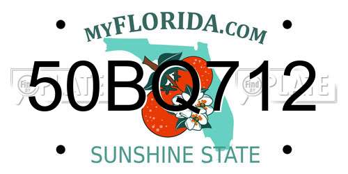 50BQ712 Florida License Plate