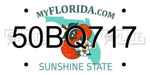 50BQ717 Florida License Plate