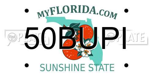 50BUPI Florida License Plate