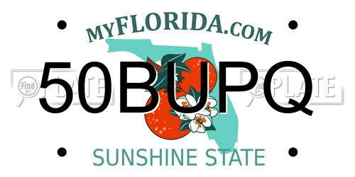 50BUPQ Florida License Plate