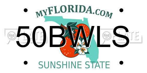 50BWLS Florida License Plate