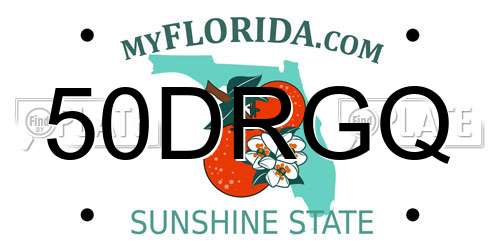 50DRGQ Florida License Plate