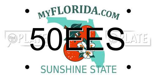 50EES Florida License Plate