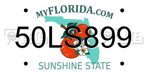 50LS899 Florida License Plate
