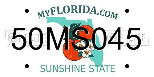 50MS045 Florida License Plate