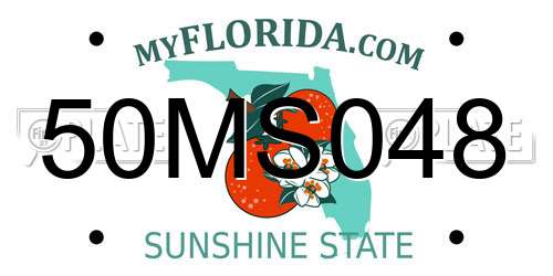 50MS048 Florida License Plate