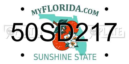 50SD217 Florida License Plate