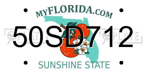 50SD712 Florida License Plate