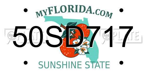 50SD717 Florida License Plate