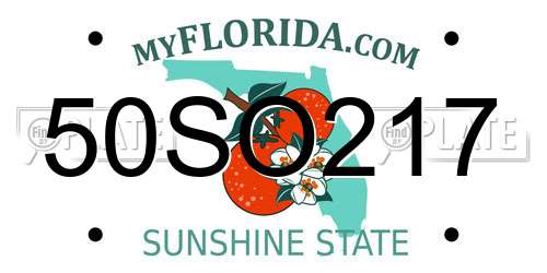 50SO217 Florida License Plate