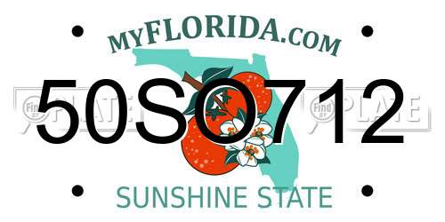50SO712 Florida License Plate