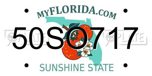 50SO717 Florida License Plate