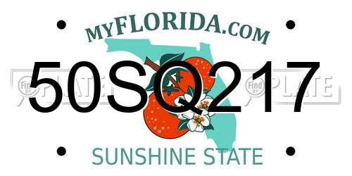 50SQ217 Florida License Plate