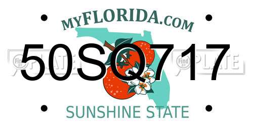 50SQ717 Florida License Plate