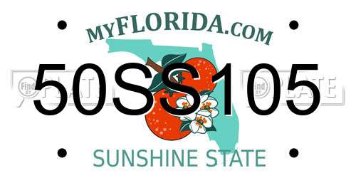 50SS105 Florida License Plate