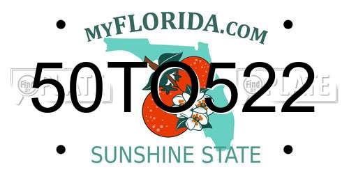 50TO522 Florida License Plate