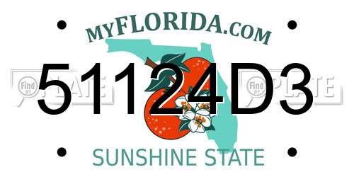 51124D3 Florida License Plate