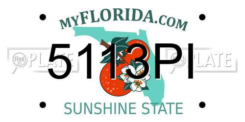 5113PI Florida License Plate