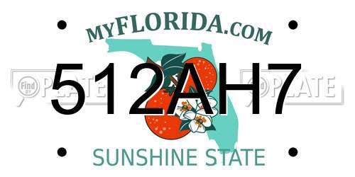 512AH7 Florida License Plate