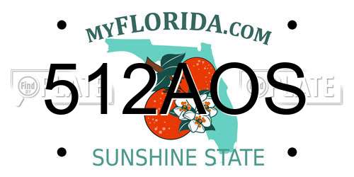 512AOS Florida License Plate