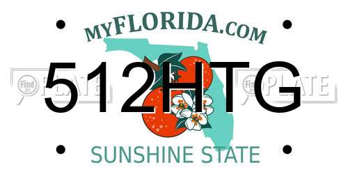 512HTG Florida License Plate