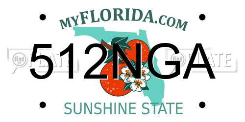 512NGA Florida License Plate