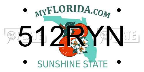 512RYN Florida License Plate