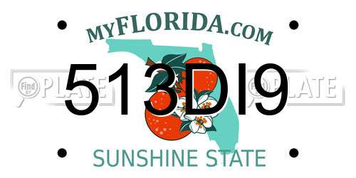 513DI9 Florida License Plate