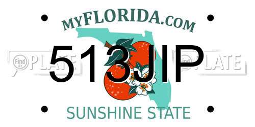 513JIP Florida License Plate