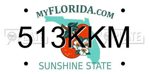 513KKM Florida License Plate