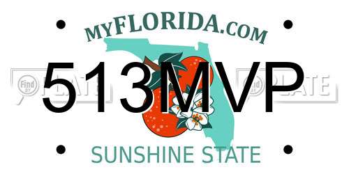 513MVP Florida License Plate