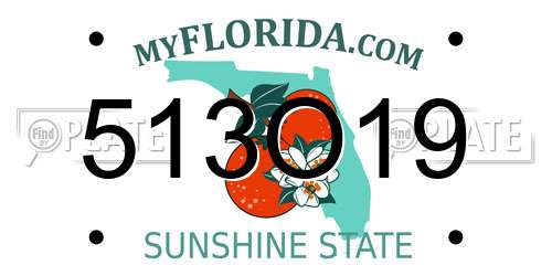 513O19 Florida License Plate