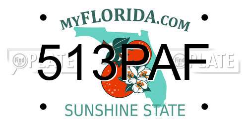 513PAF Florida License Plate