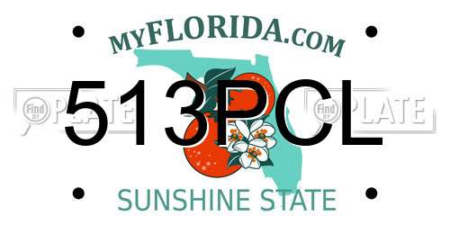513PCL Florida License Plate