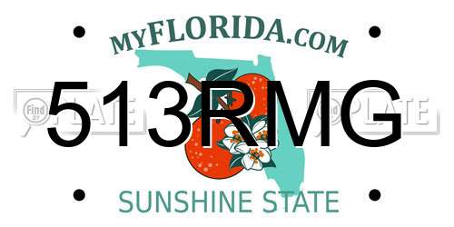 513RMG Florida License Plate