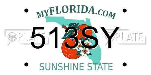 513SY Florida License Plate