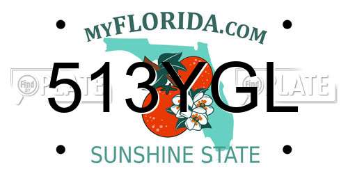 513YGL Florida License Plate