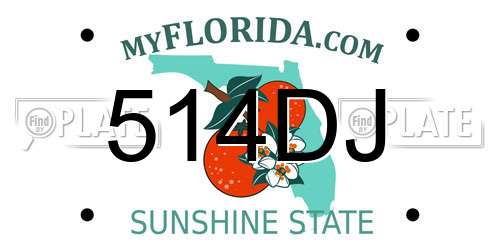 514DJ Florida License Plate