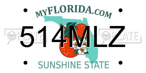514MLZ Florida License Plate