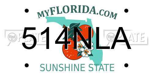 514NLA Florida License Plate